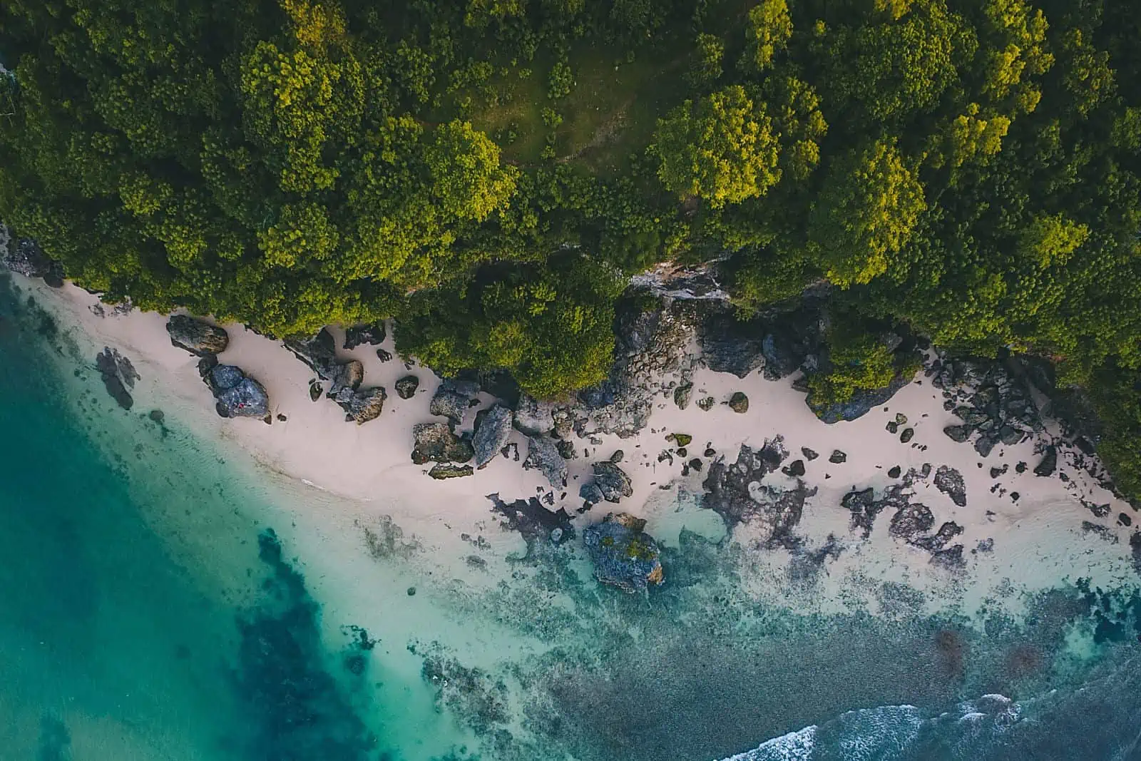 landscape with ocean