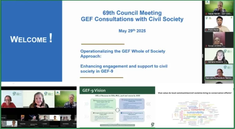 GEF Consultation meeting