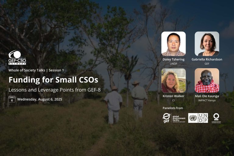 Funding for Small CSOs: Lessons and Leverage Points from GEF-8