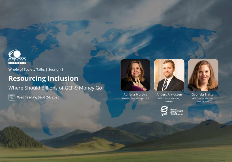 Resourcing Inclusion: Where Should Billions of GEF-9 Money Go?